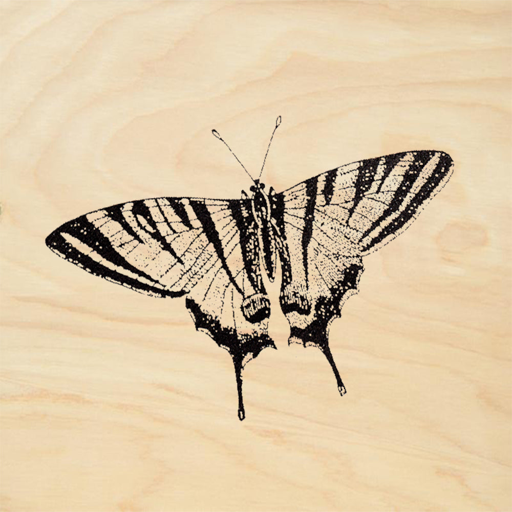 StampaFe Monarch Butterfly Rubber Art Stamp