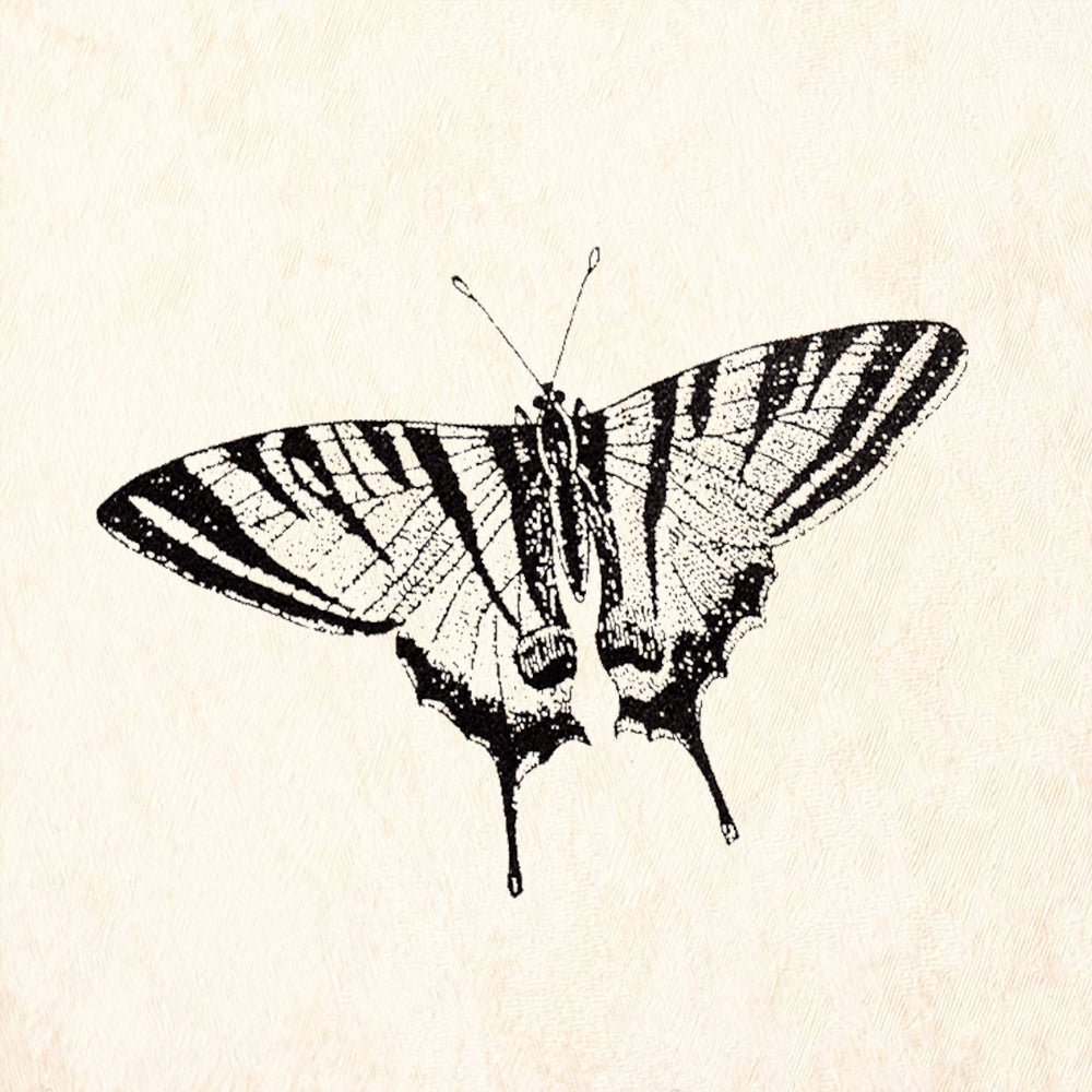 StampaFe Monarch Butterfly Rubber Art Stamp