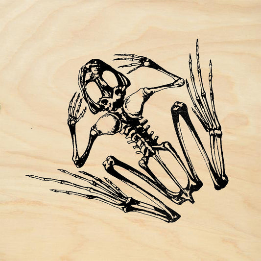 StampaFe Frog Skeleton Rubber Art Stamp