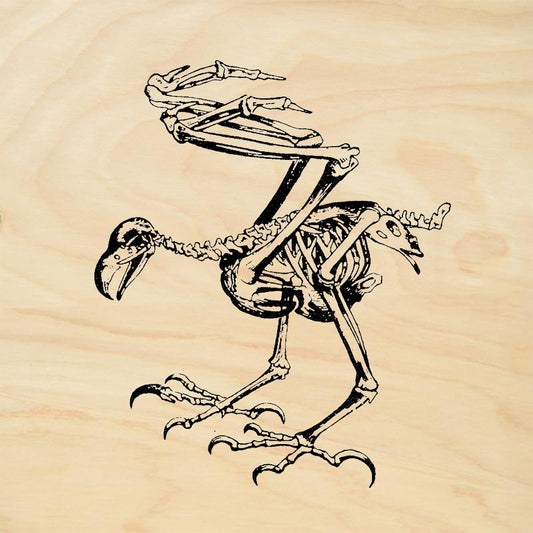 StampaFe Dodo Skeleton Rubber Stamp