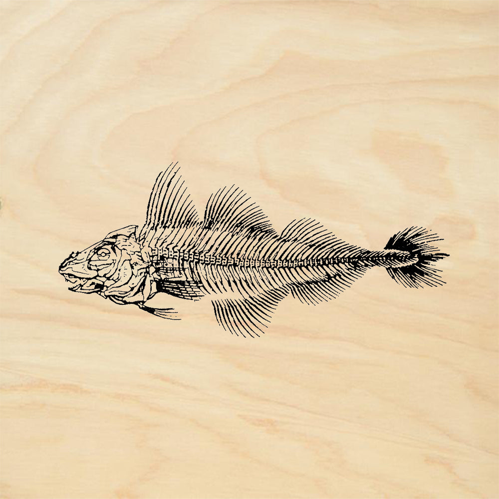 StampaFe Fish Skeleton Rubber Art Stamp
