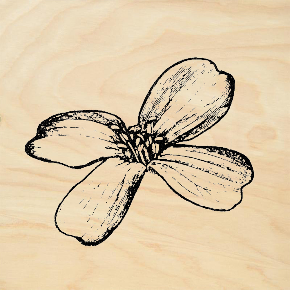 StampaFe Dogwood Blossom Botanical Rubber Art Stamp