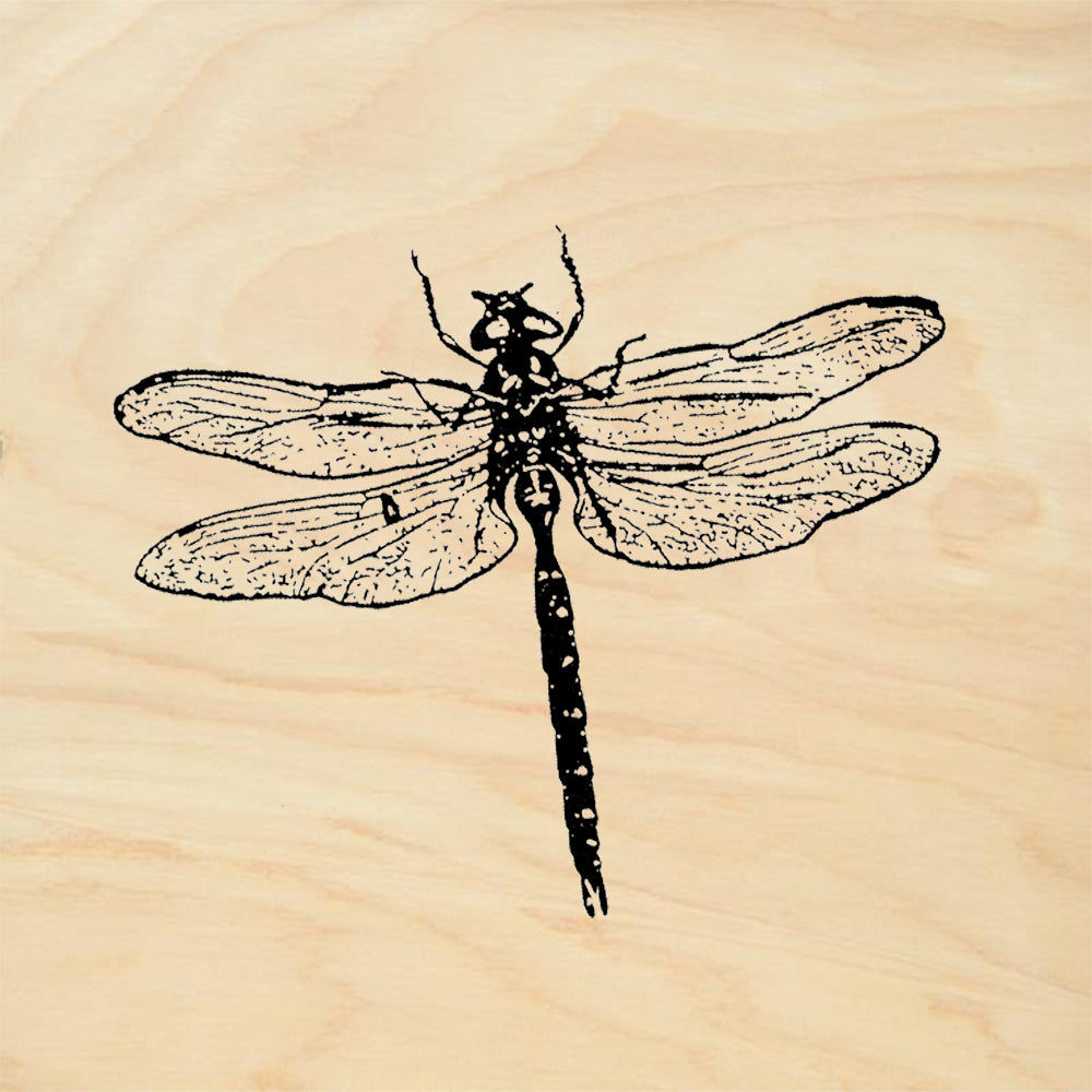 StampaFe Dragonfly Nature Card Making Rubber Art Stamp