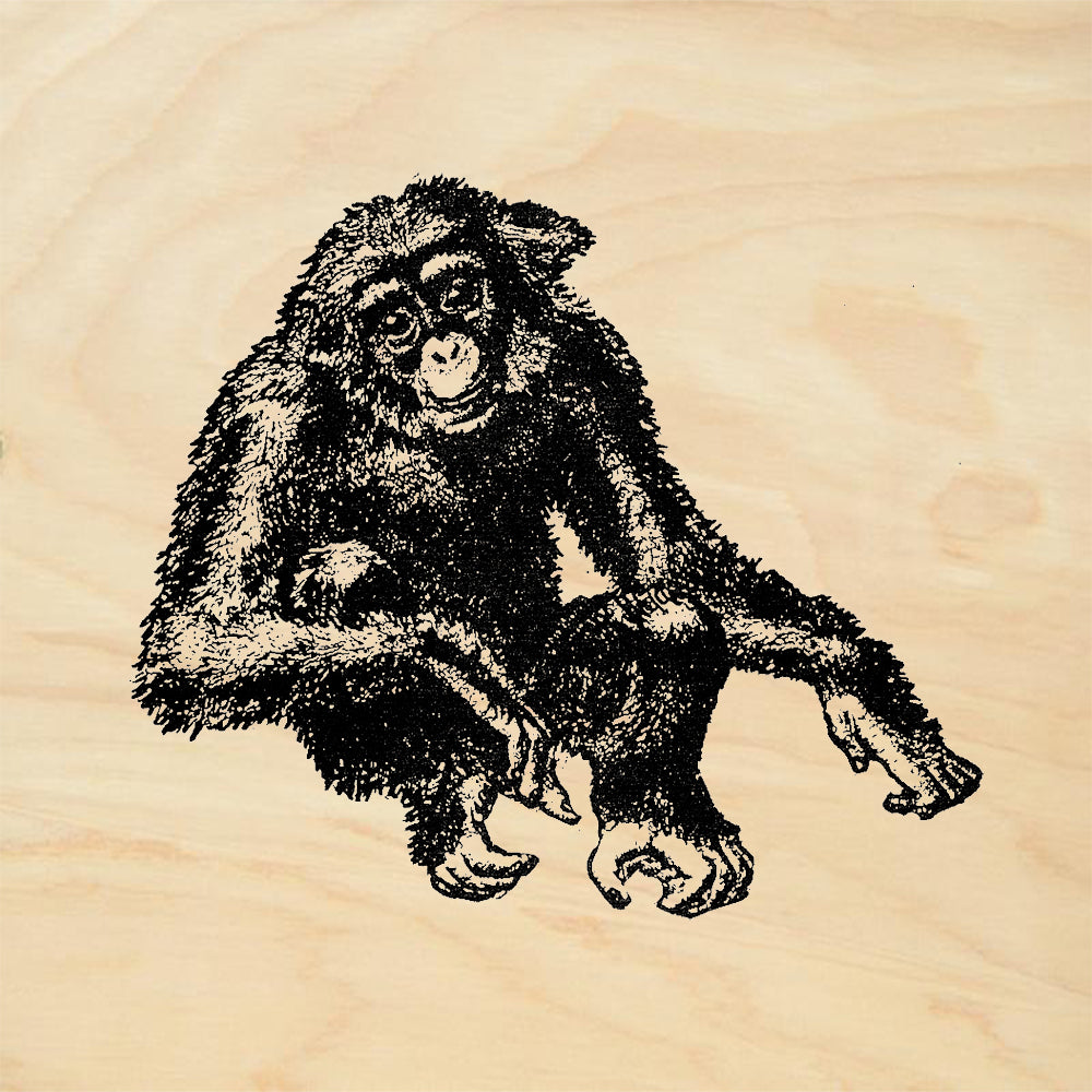 StampaFe Jazzbo Chimpanzee Rubber Art Stamp