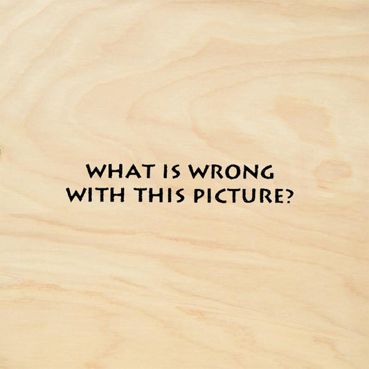 StampaFe What Is Wrong With This Picture Humorous Rubber Art Stamp