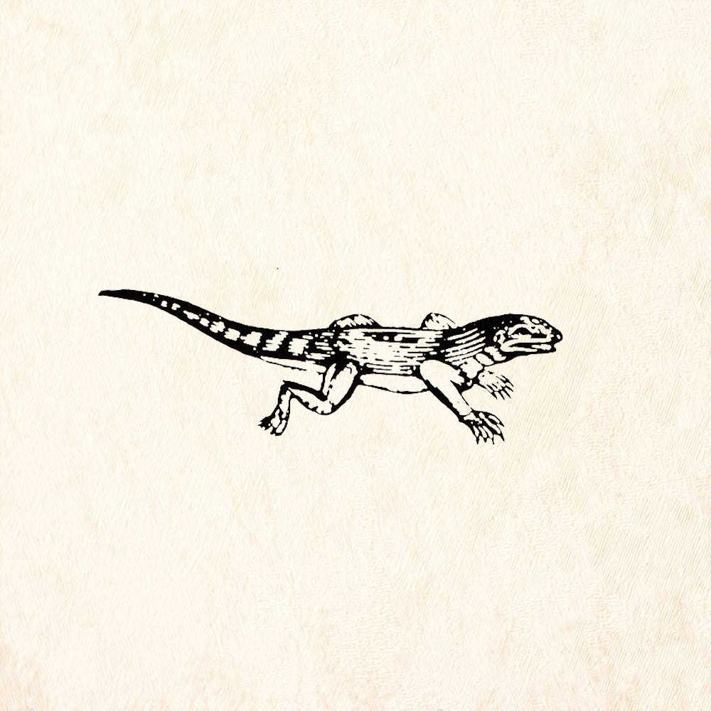 StampaFe Striped Lizard Nature Mixed Media Rubber Art Stamp