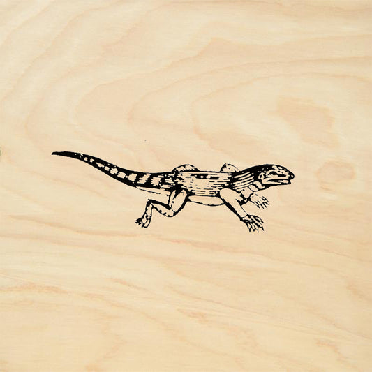 StampaFe Striped Lizard Nature Mixed Media Rubber Art Stamp