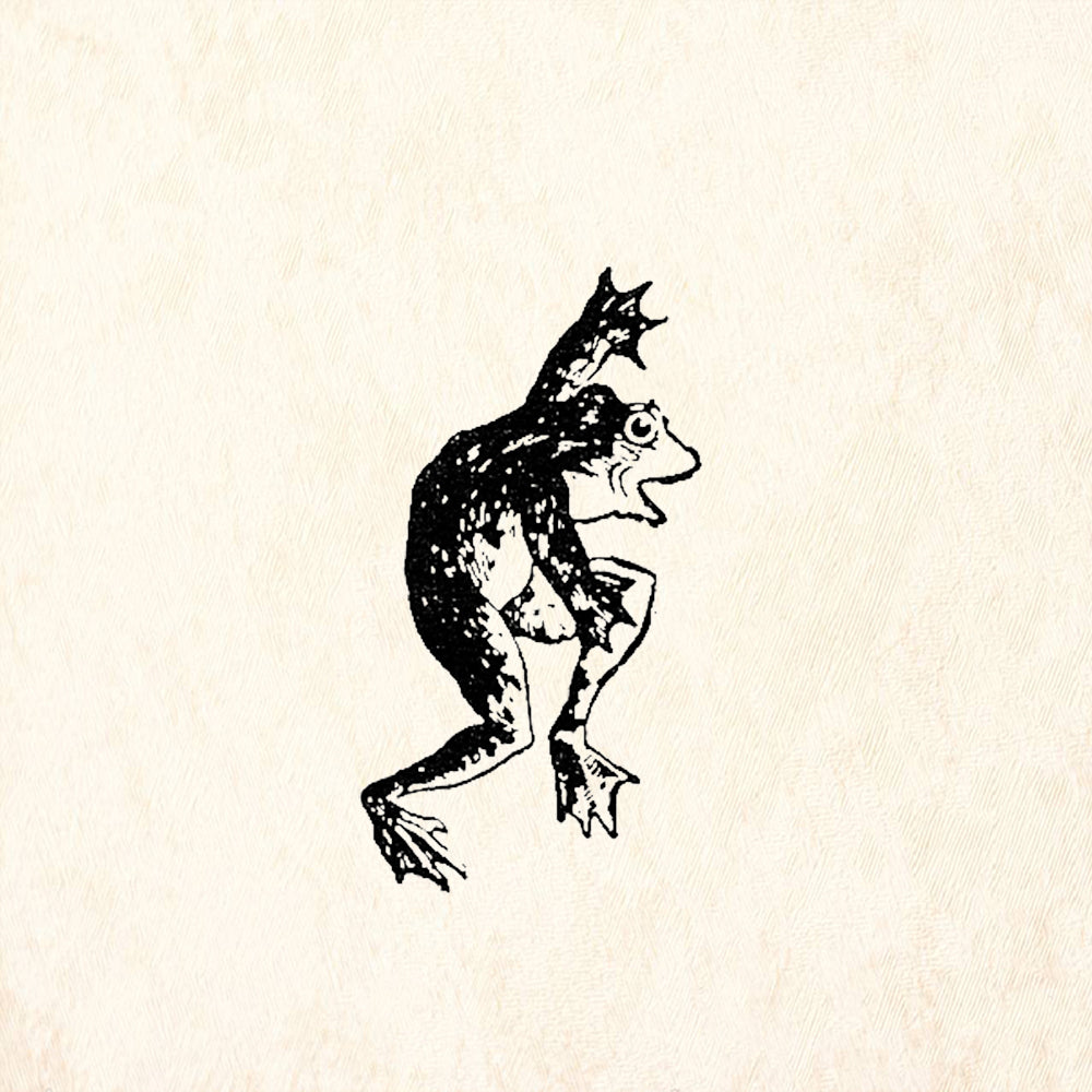 StampaFe Dancing Frog Right Rubber Art Stamp