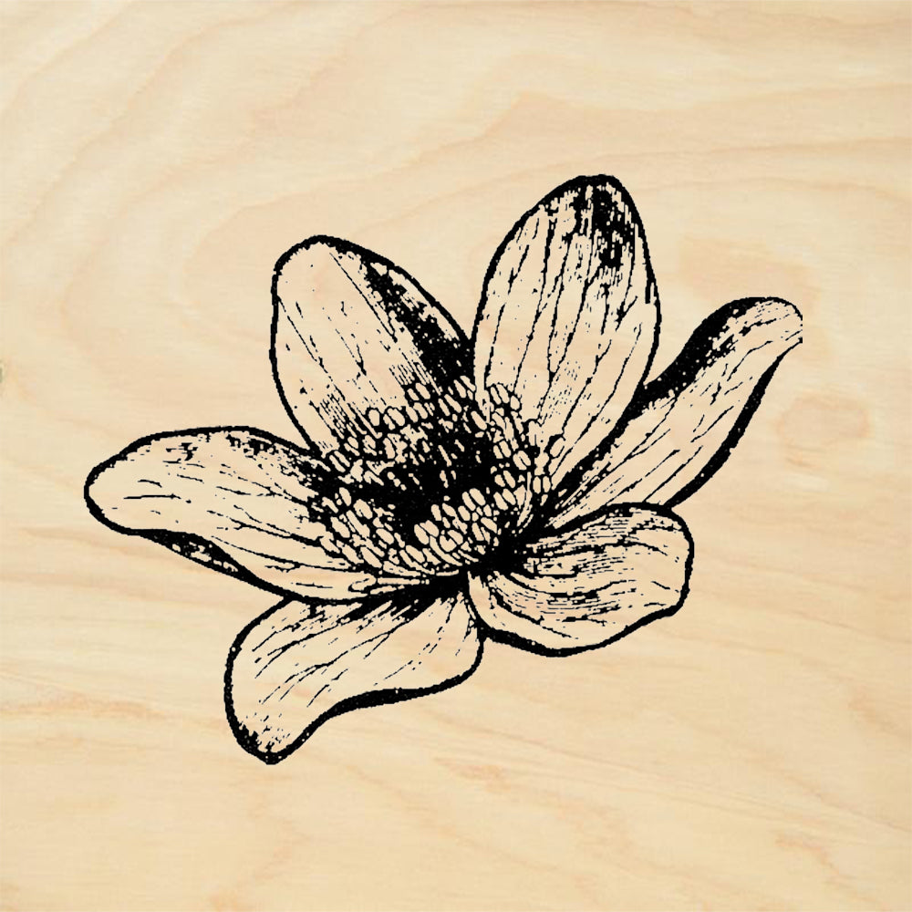 StampaFe Clematis Rubber Art Stamp