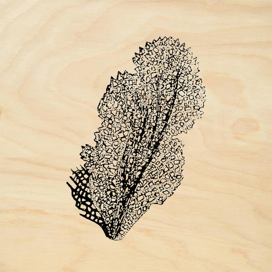 StampaFe Coral Fan Nature Ocean Rubber Art Stamp