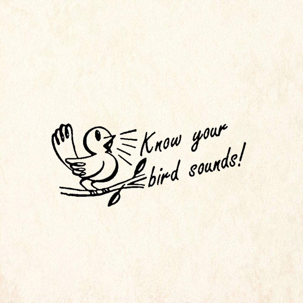 StampaFe Know Your Bird Sounds Rubber Art Stamp