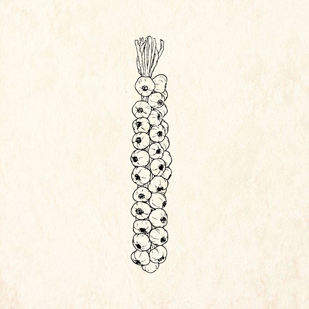 StampaFe Garlic Braid Rubber Art Stamp