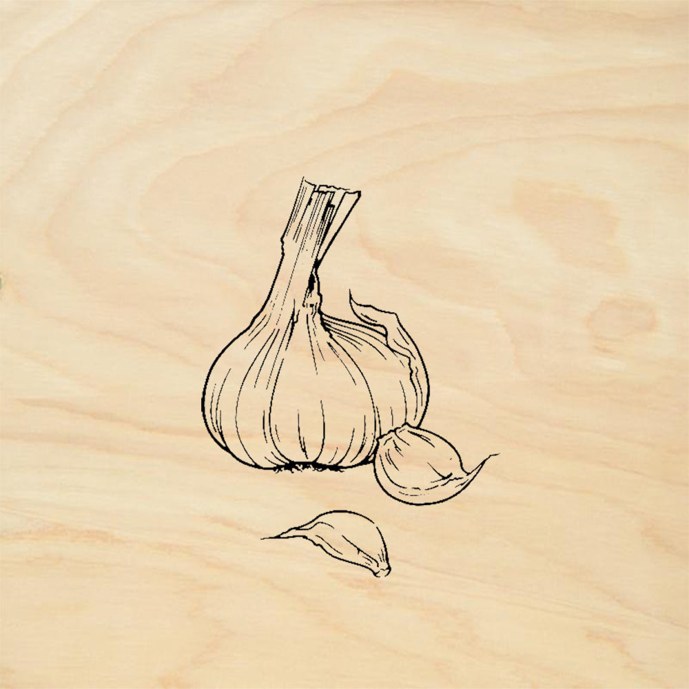 StampaFe Garlic Cloves Bulb Botanical Kitchen Rubber Art Stamp