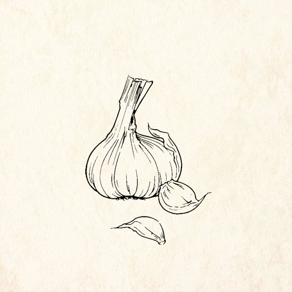 StampaFe Garlic Bulb and Cloves Rubber Art Stamp