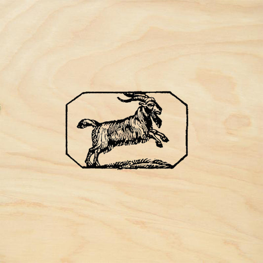 StampaFe Capricorn Celestial Rubber Art Stamp