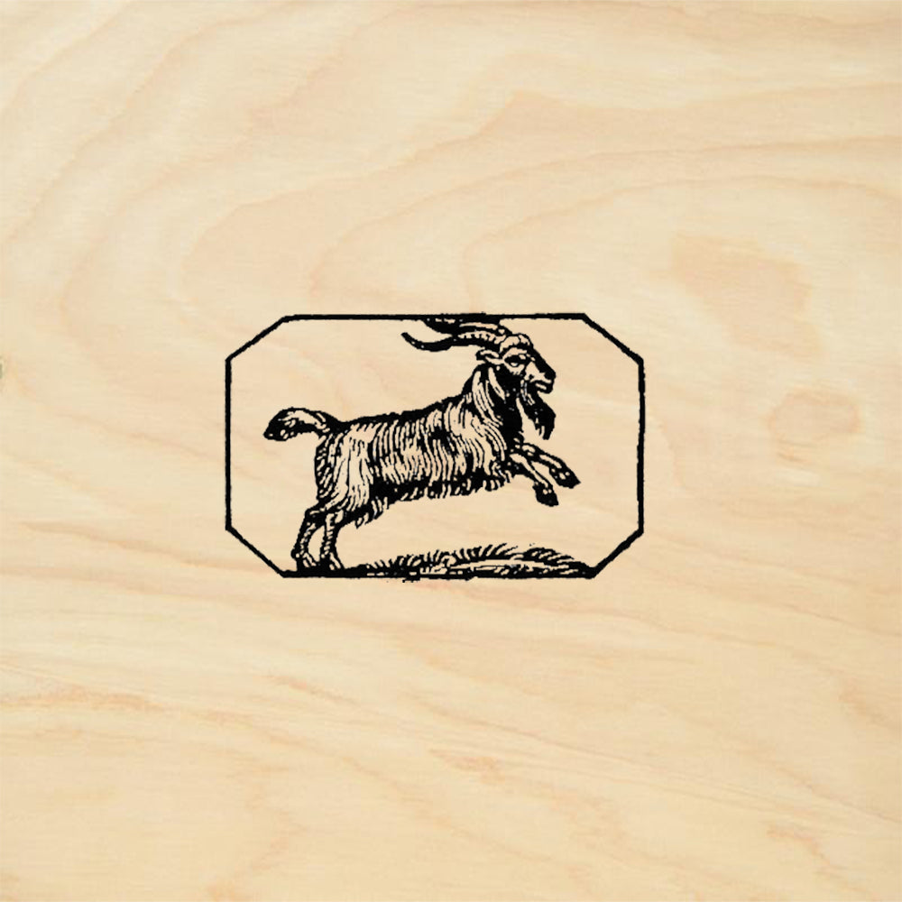 StampaFe Capricorn Celestial Rubber Art Stamp