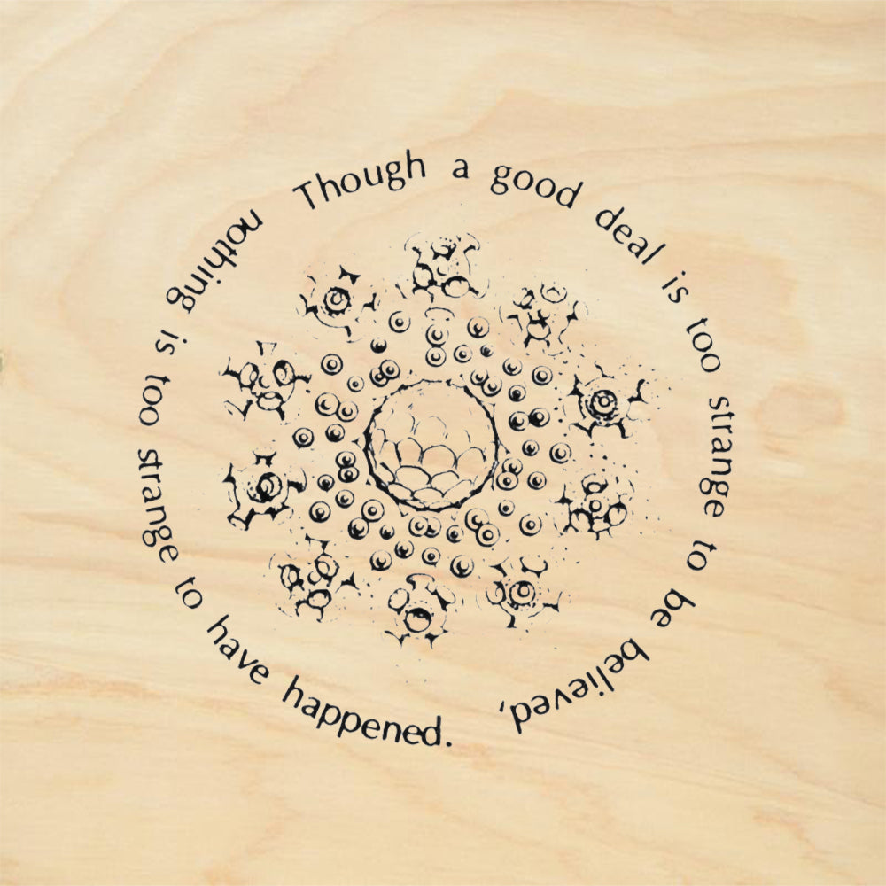 StampaFe Though A Good Deal Is Too Strange To Be Believed Rubber Art Stamp