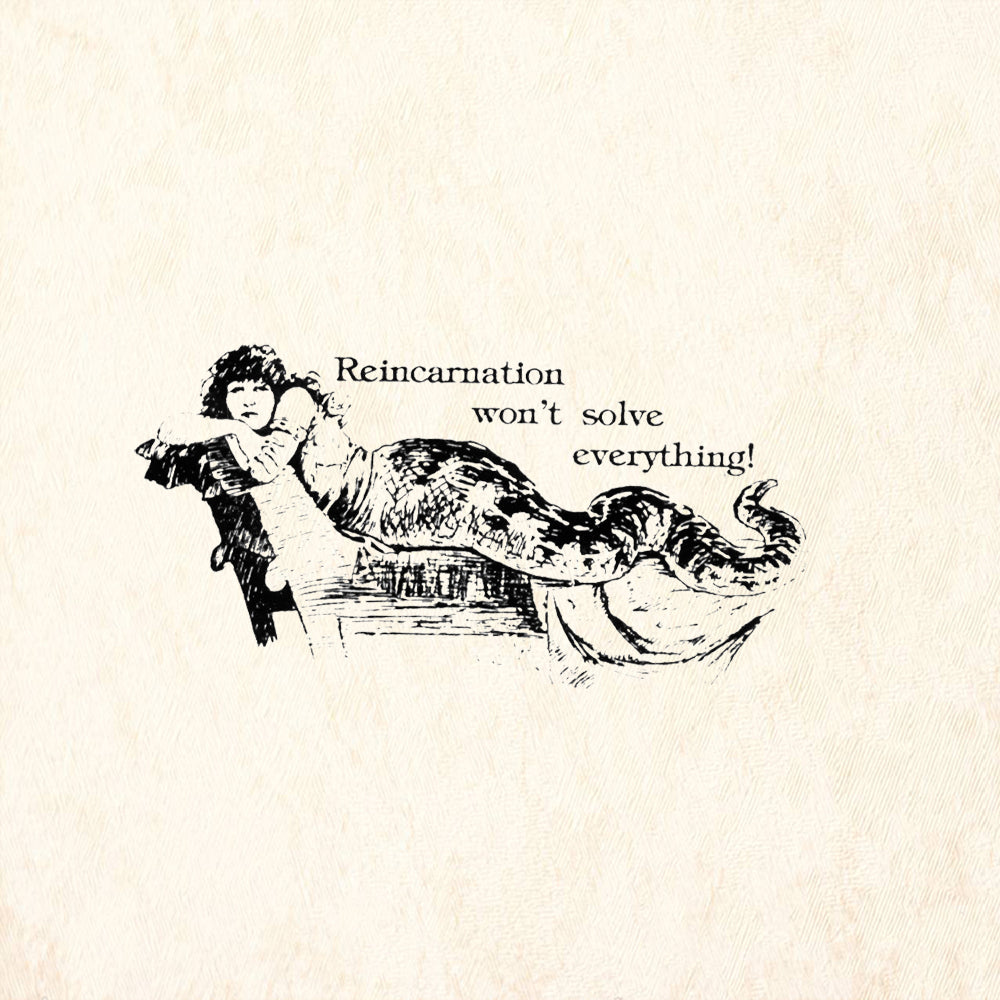 StampaFe Reincarnation Won't Solve Everything Rubber Art Stamp