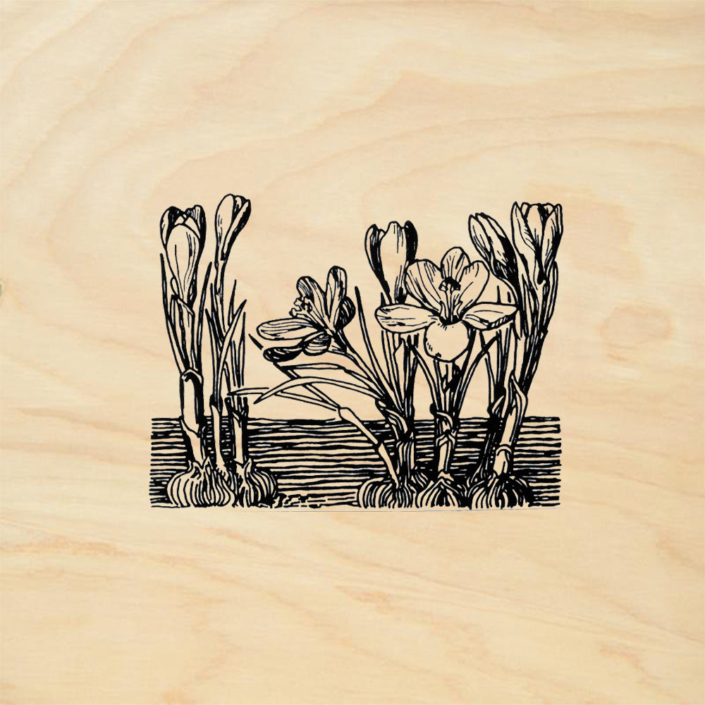 StampaFe Crocus Botanical Rubber Art Stamp