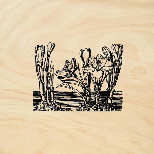 StampaFe Crocus Botanical Rubber Art Stamp