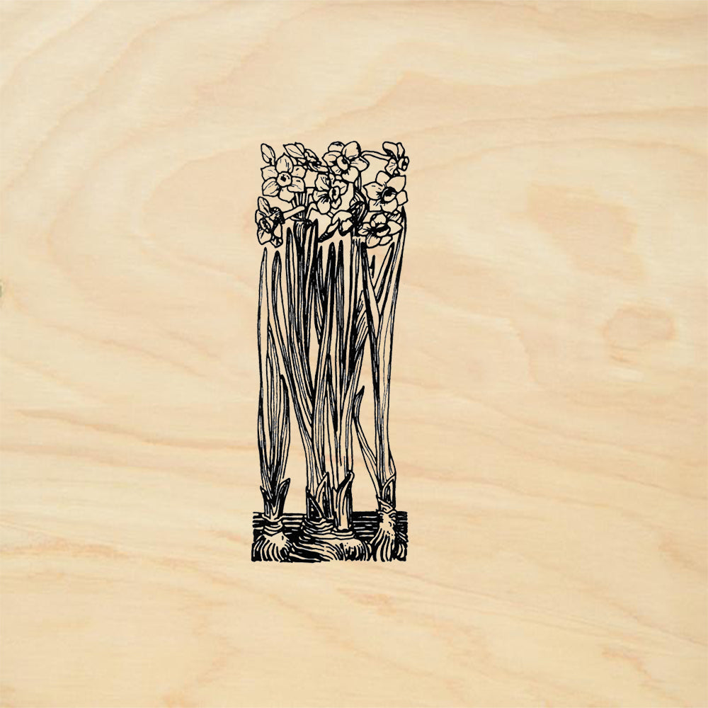 StampaFe Narcissus Botanical Rubber Art Stamp