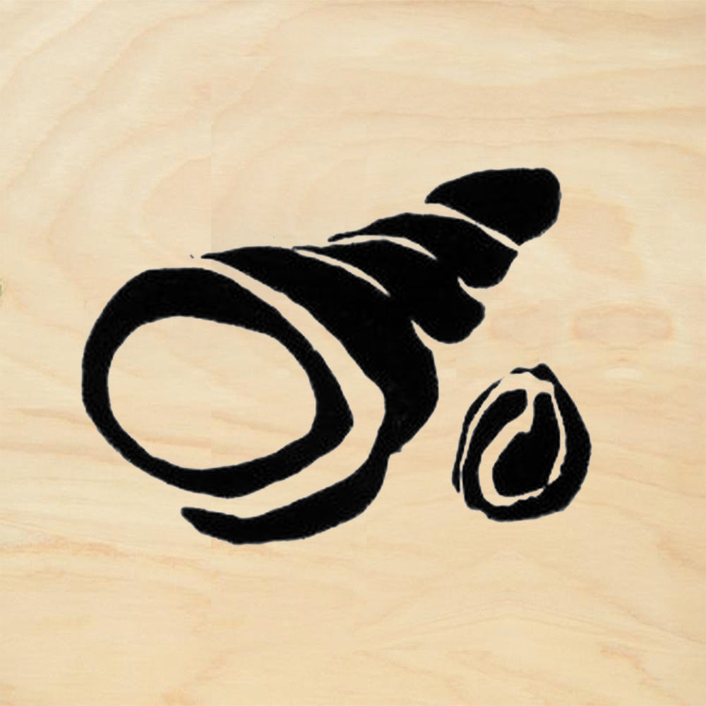 StampaFe Large Two Seashells Rubber Art Stamp