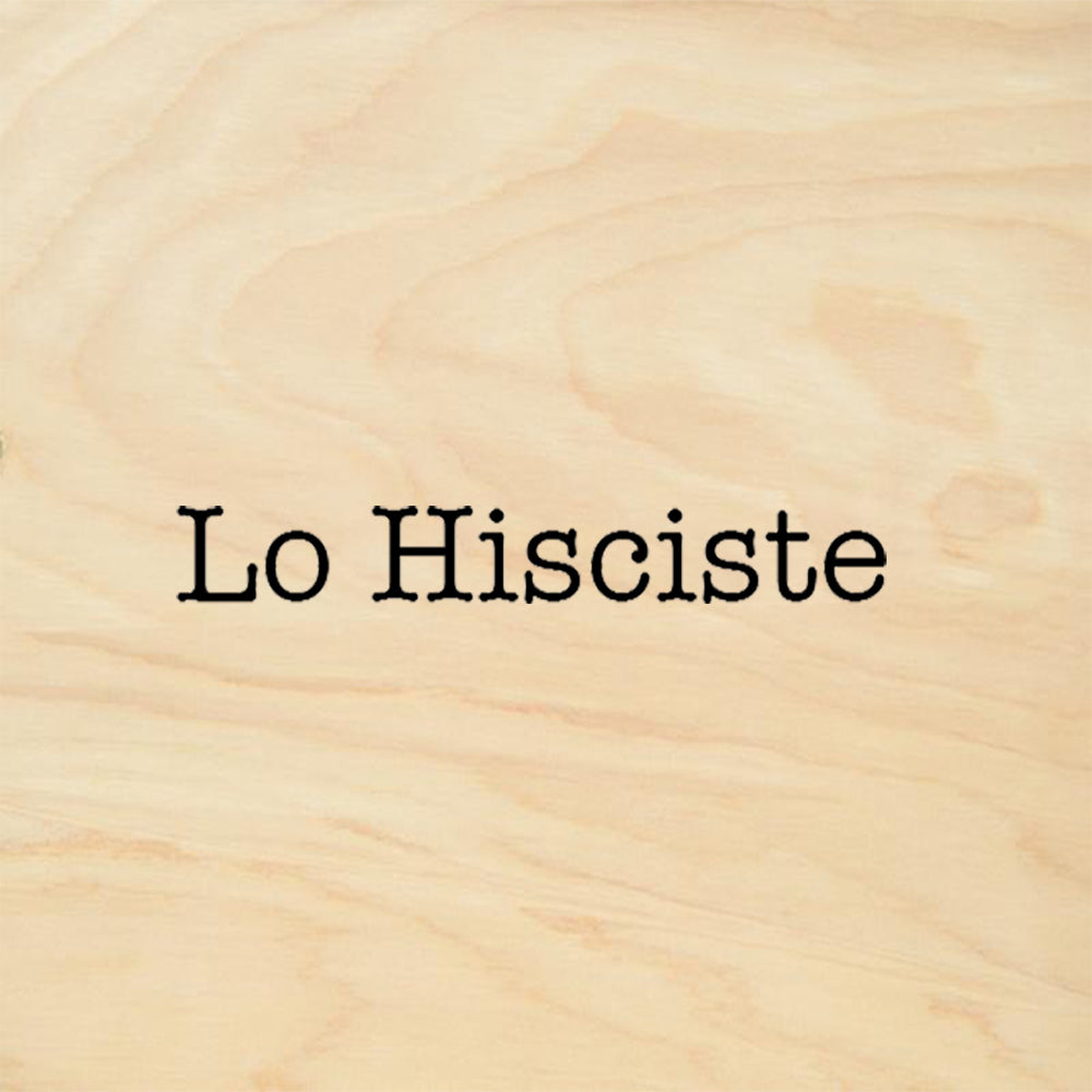 Lo Hisciste