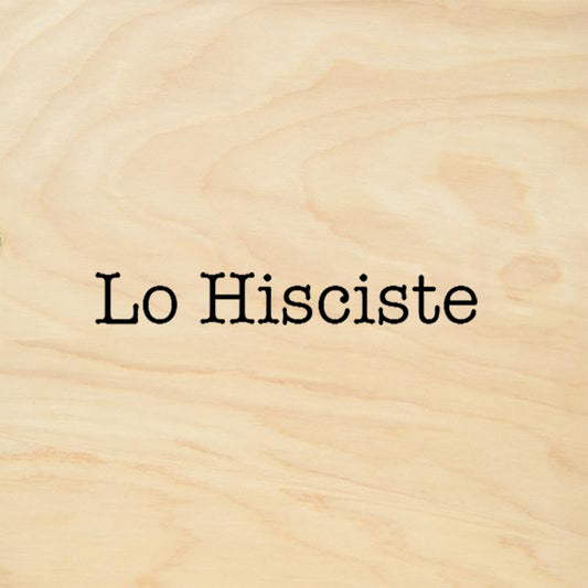 Lo Hisciste