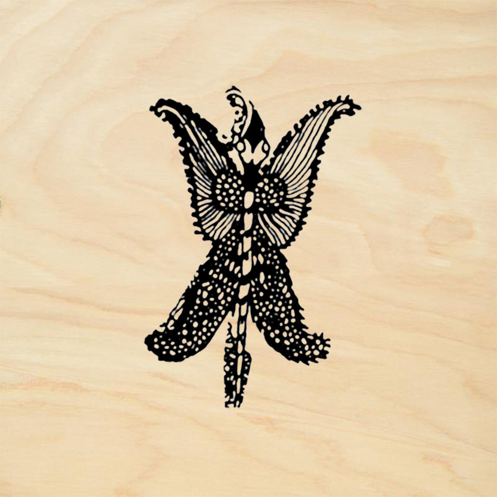 StampaFe Butterfly Lined Nature Rubber Art Stamp