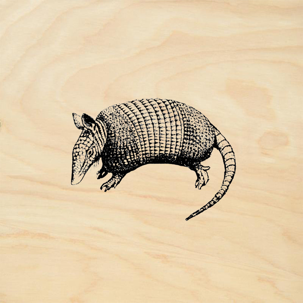 StampaFe Armadillo Southwest Rubber Art Stamp