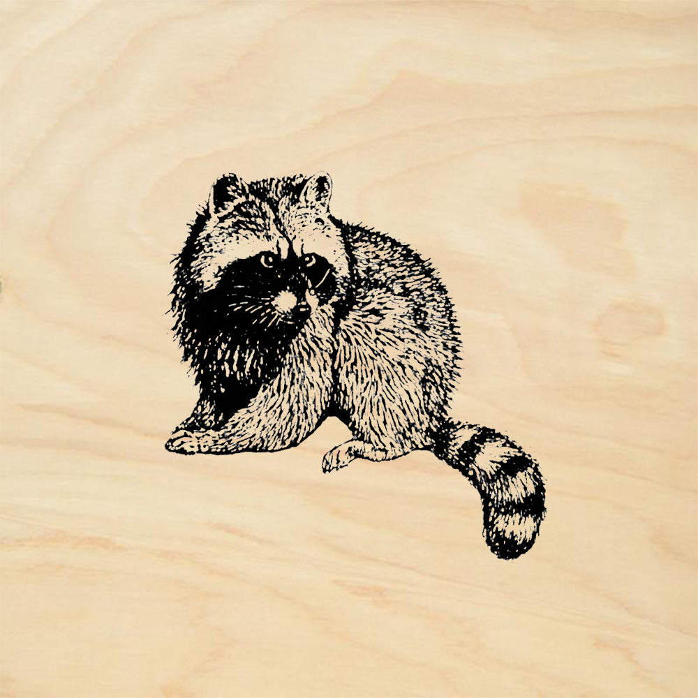 StampaFe Mexican Raccoon Animal Rubber Art Stamp