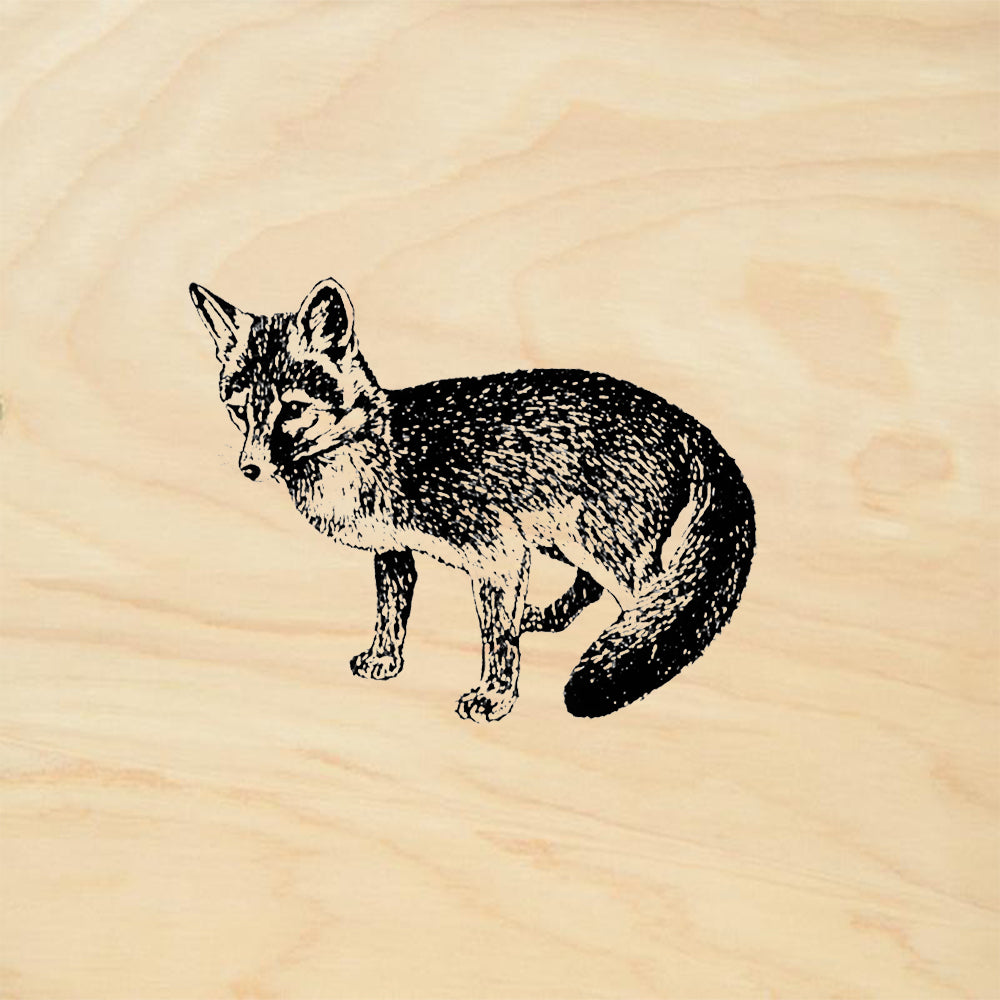StampaFe Gray Fox Animal Rubber Art Stamp