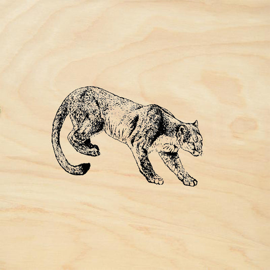 StampaFe Mountain Lion Southwest Rubber Art Stamp