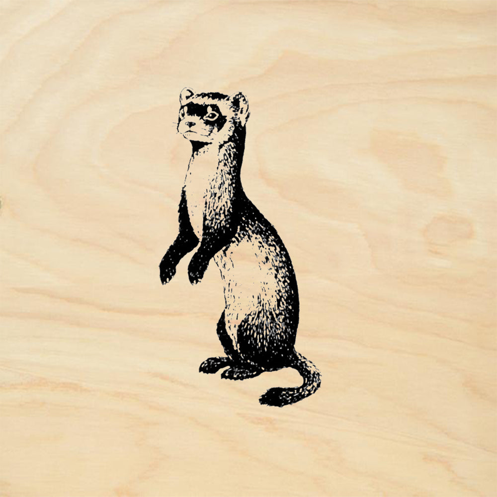 StampaFe Black Footed Ferret Animal Rubber Art Stamp