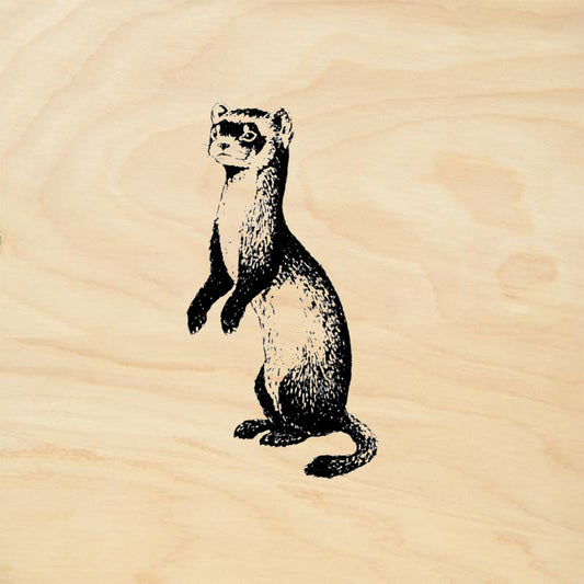 StampaFe Black Footed Ferret Animal Rubber Art Stamp