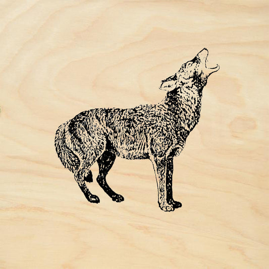 StampaFe Coyote Southwest Rubber Art Stamp