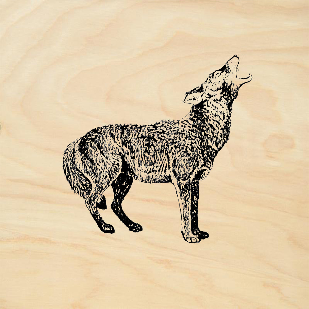 StampaFe Coyote Southwest Rubber Art Stamp