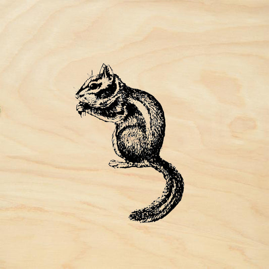 StampaFe Cliff Chipmunk Animal Rubber Art Stamp
