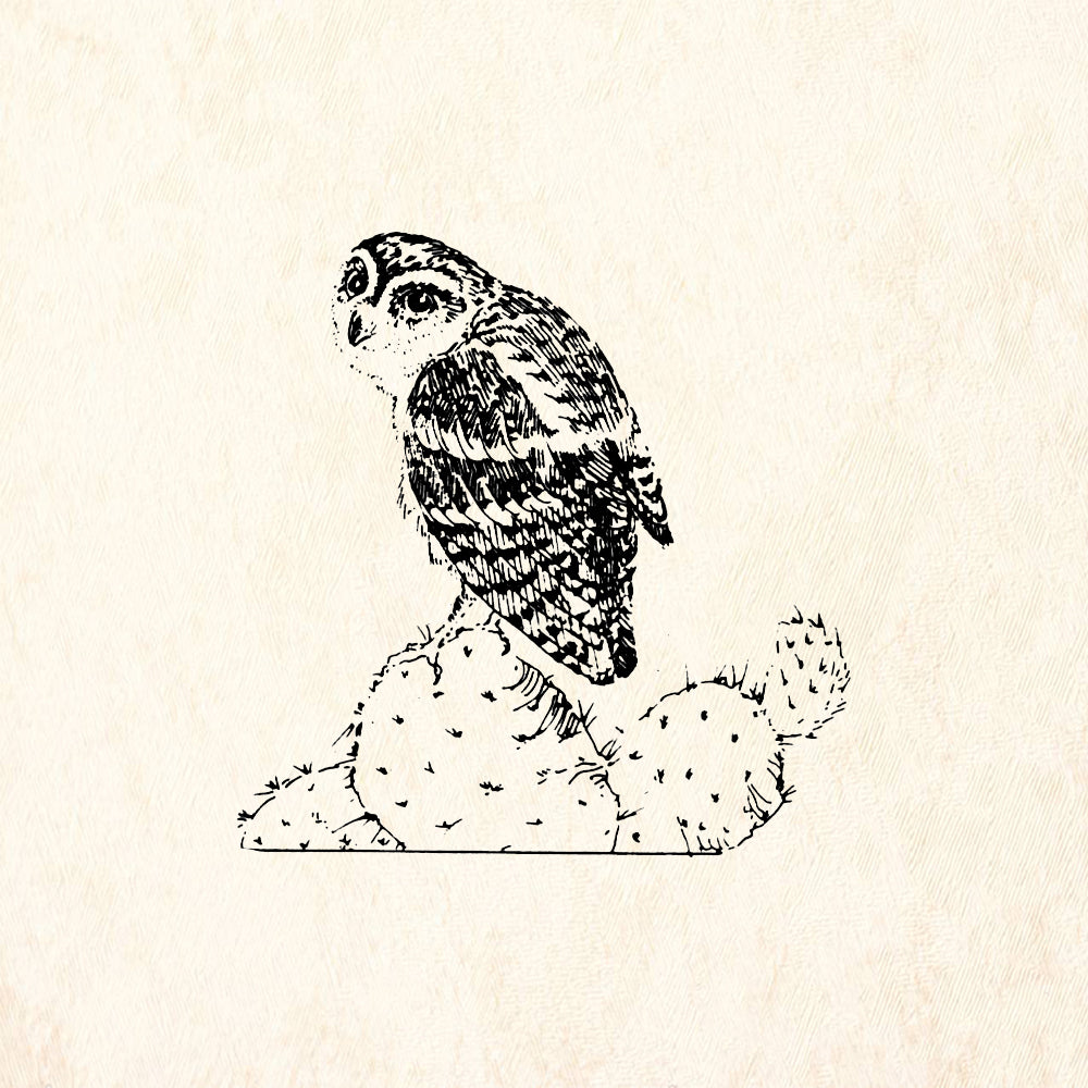 StampaFe Elf Owl Southwest Rubber Art Stamp