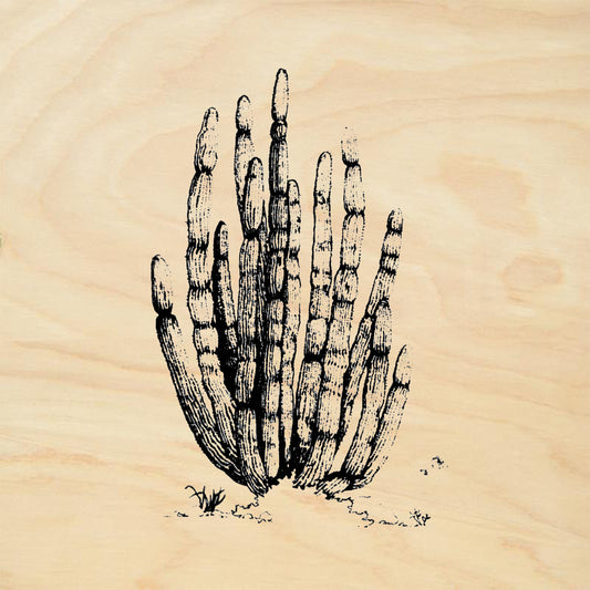 StampaFe Organ Pipe Cactus Southwest Rubber Art Stamp