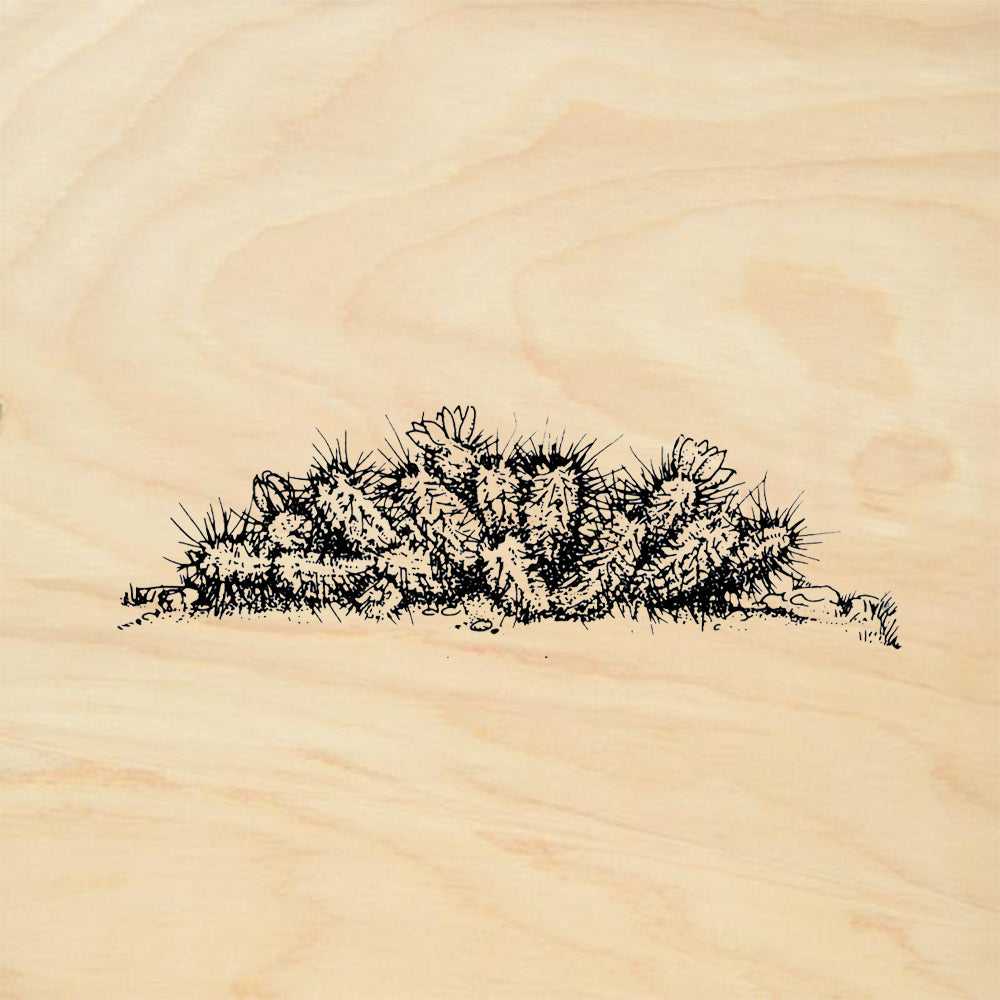 StampaFe Hedgehog Cactus Southwest Rubber Art Stamp