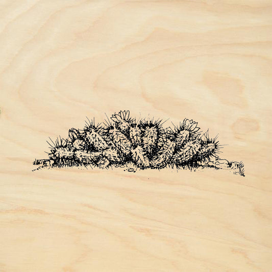 StampaFe Hedgehog Cactus Southwest Rubber Art Stamp