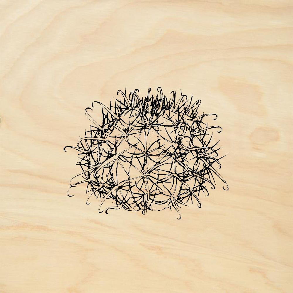 StampaFe Ferrocactus Southwest Rubber Art Stamp