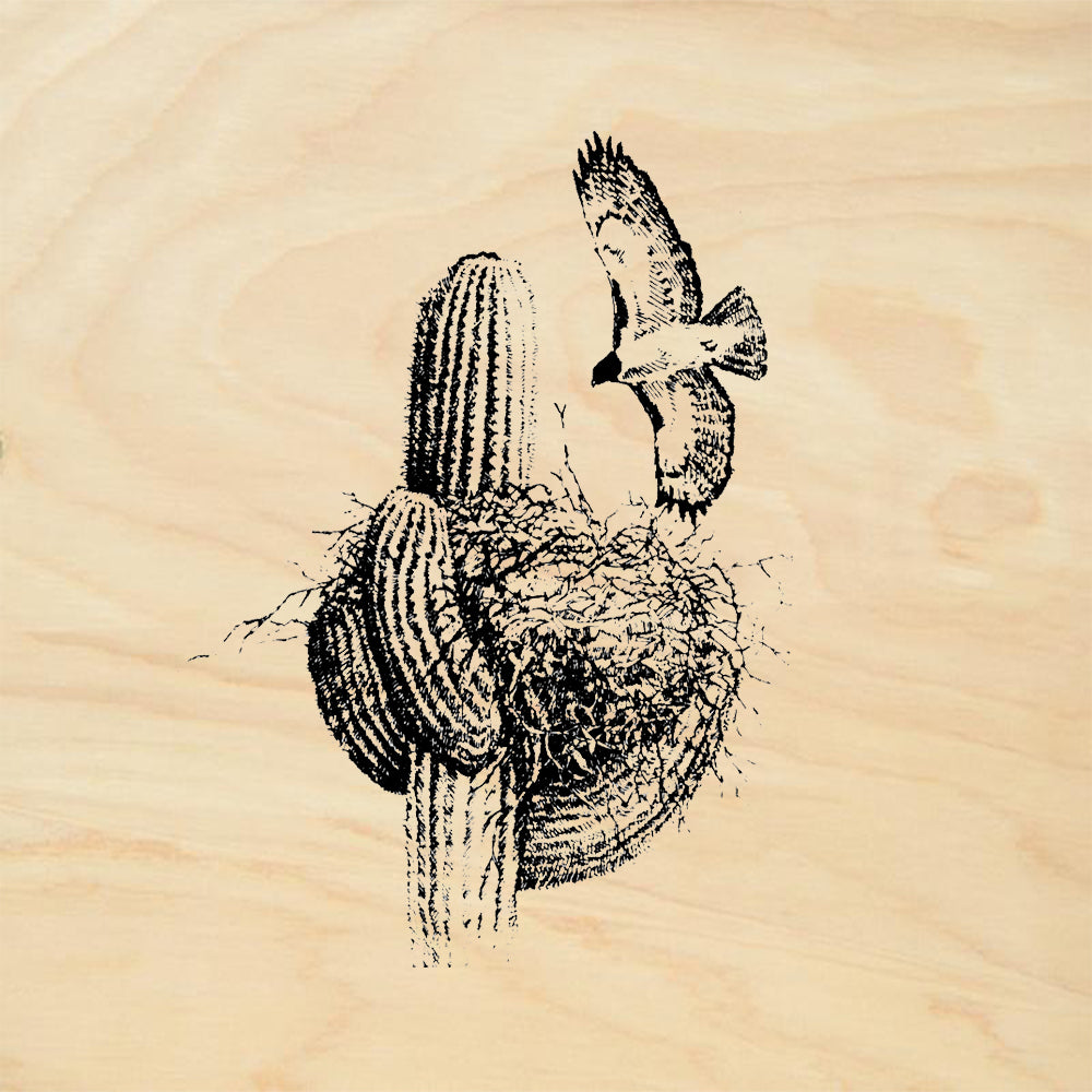 StampaFe Hawk Nest Southwest Rubber Art Stamp