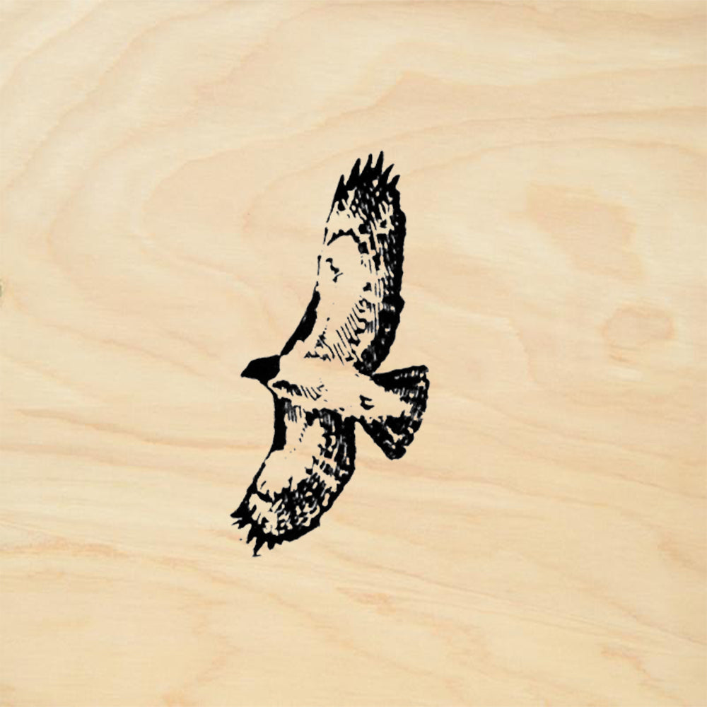 StampaFe Hawk Southwest Rubber Art Stamp