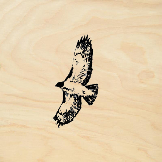 StampaFe Hawk Southwest Rubber Art Stamp