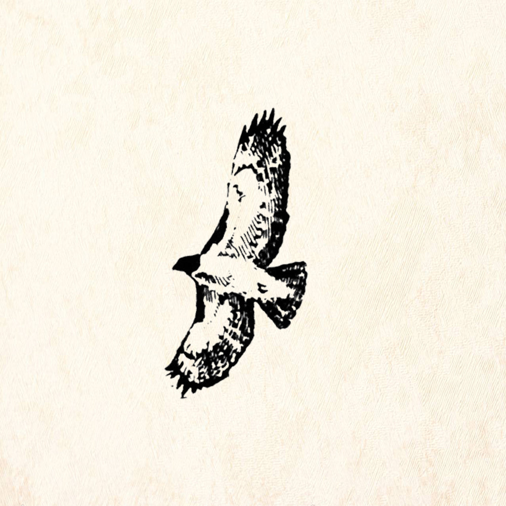 StampaFe Hawk Southwest Rubber Art Stamp