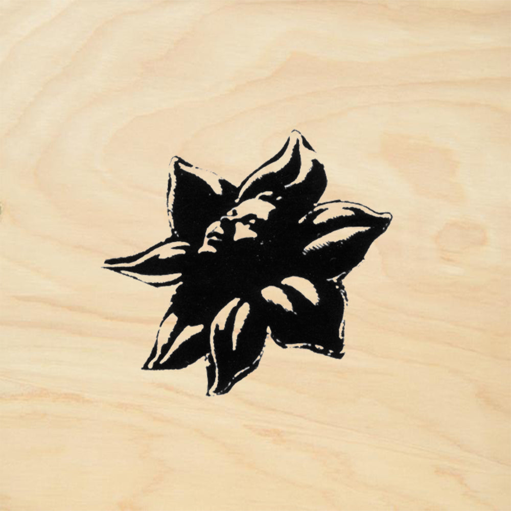 StampaFe Flower Diva Small Floral Rubber Art Stamp