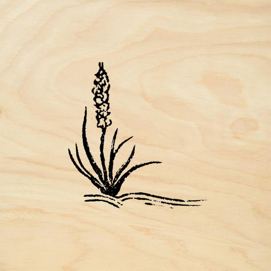 StampaFe Yucca Left Botanical Southwest Rubber Art Stamp