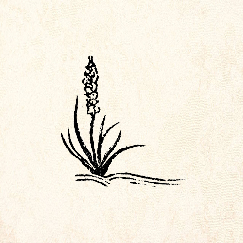 StampaFe Yucca Left Botanical Southwest Rubber Art Stamp